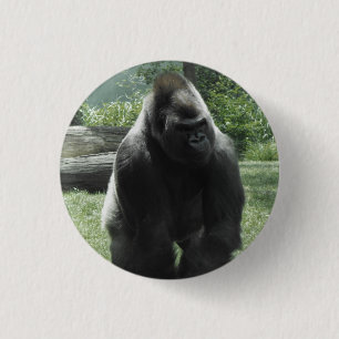 Gorilla-Knopf Button