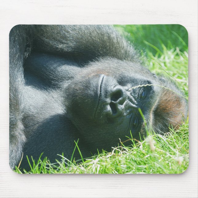 Gorilla Lope's friedlicher Sommertraum Mousepad (Vorne)