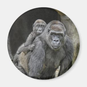 Gorilla & Magnet bébé