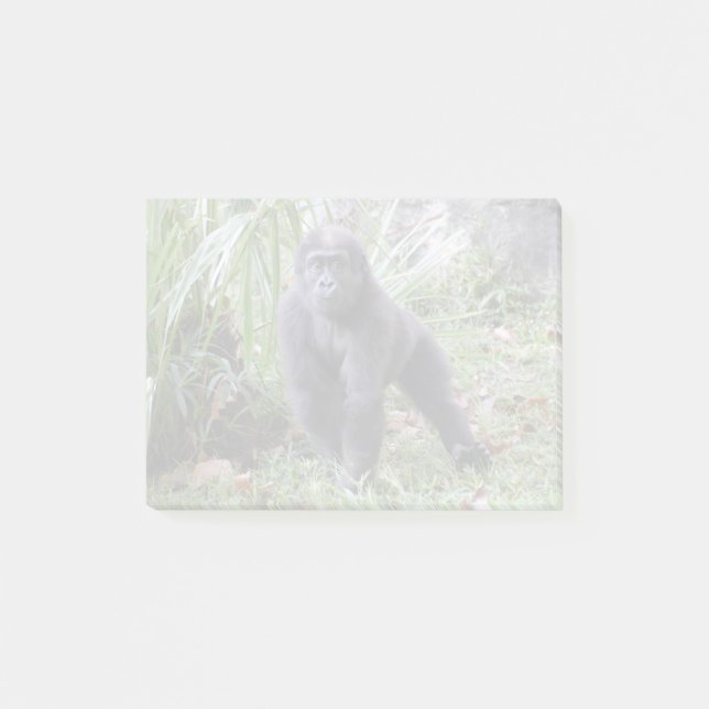 Gorilla Moke im Zoo Post-it Klebezettel (Vorderseite)