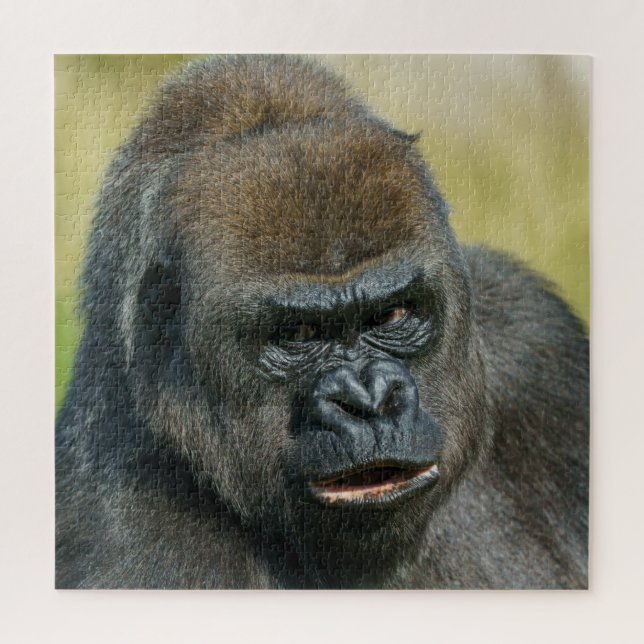 Gorilla Mother (Vertikal)