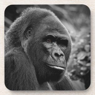 Gorilla Nah Schwarz-Weiß-Portrait Getränkeuntersetzer