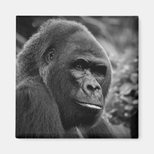 Gorilla Nah Schwarz-Weiß-Portrait Magnet