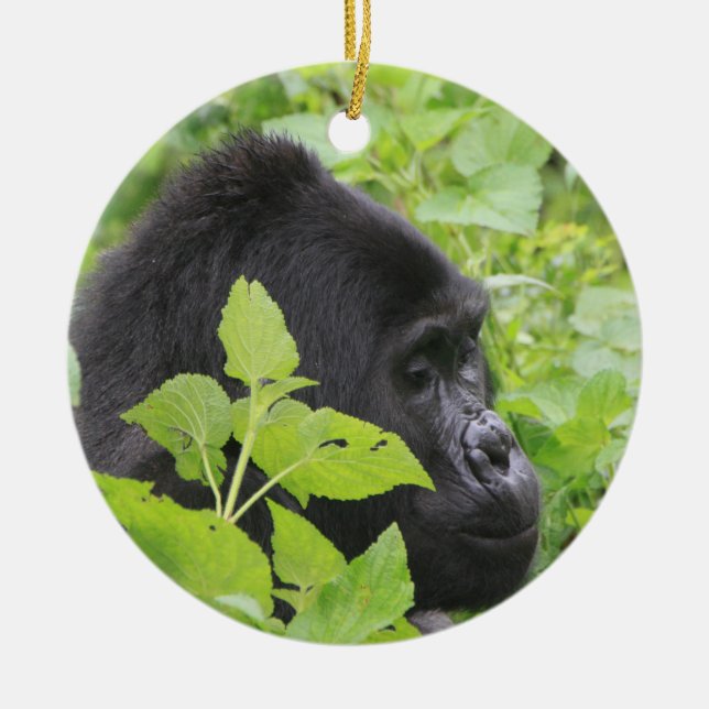 Gorilla Ornament (Vorne)
