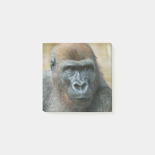 Gorilla Paper Post-it Klebezettel