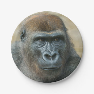 Gorilla Pappteller