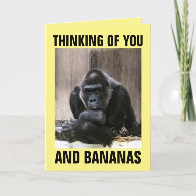 GORILLA PENSANT À VOUS DES CARTES DE SALUT (Devant)