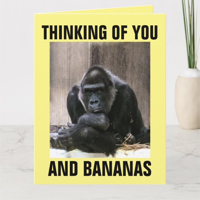 GORILLA PENSANT À VOUS DES CARTES DE SALUT (Devant)
