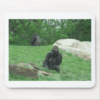 Gorilla pic mousepad