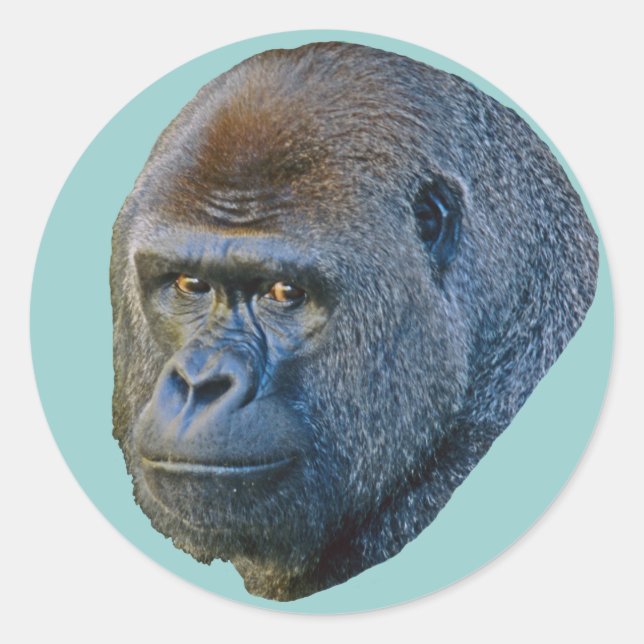 Gorilla Picture Runder Aufkleber (Vorderseite)