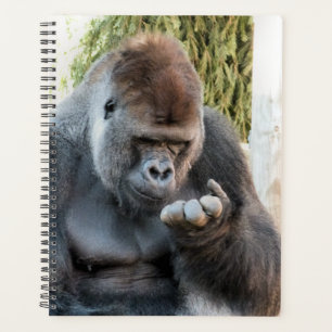 GORILLA PLANER