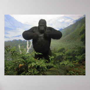 Gorilla Poster