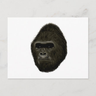 Gorilla Postkarte