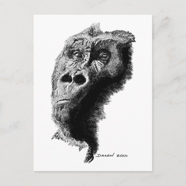 Gorilla Postkarte (Vorderseite)