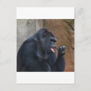 Gorilla Postkarte