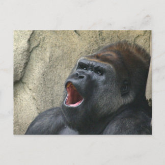Gorilla-Postkarte singen Postkarte