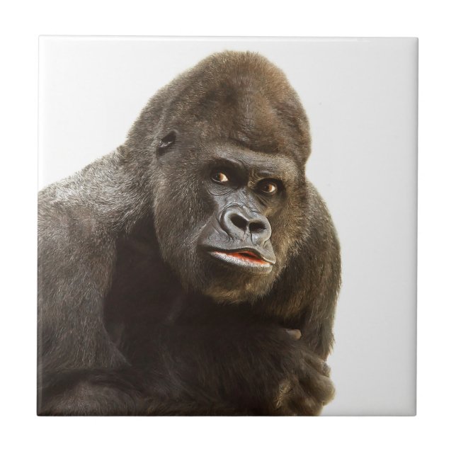 Gorilla Pout Fliese (Vorderseite)