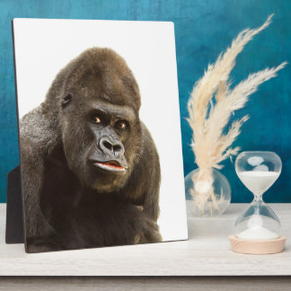 Gorilla Pout Fotoplatte