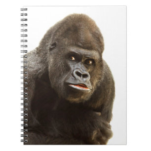 Gorilla Pout Notizblock