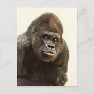 Gorilla Pout Postkarte