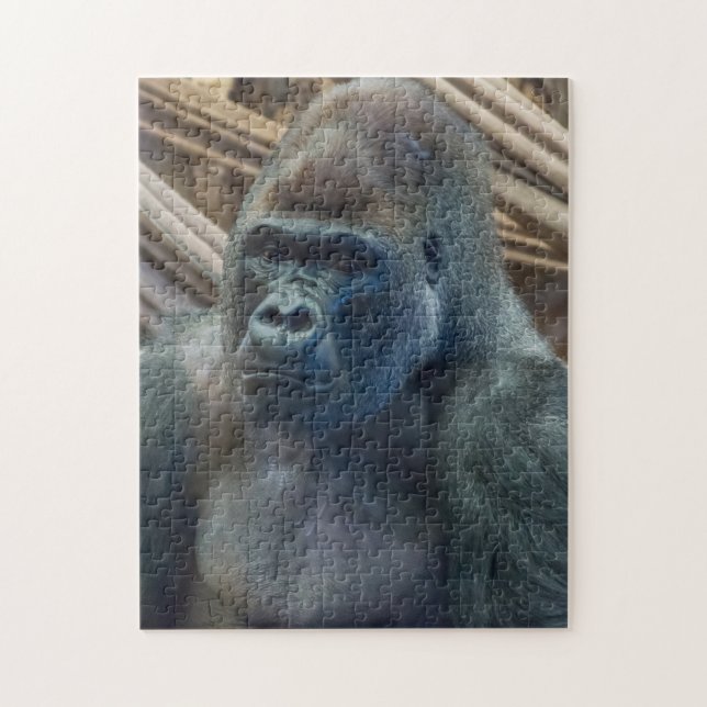 Gorilla près du puzzle (Vertical)