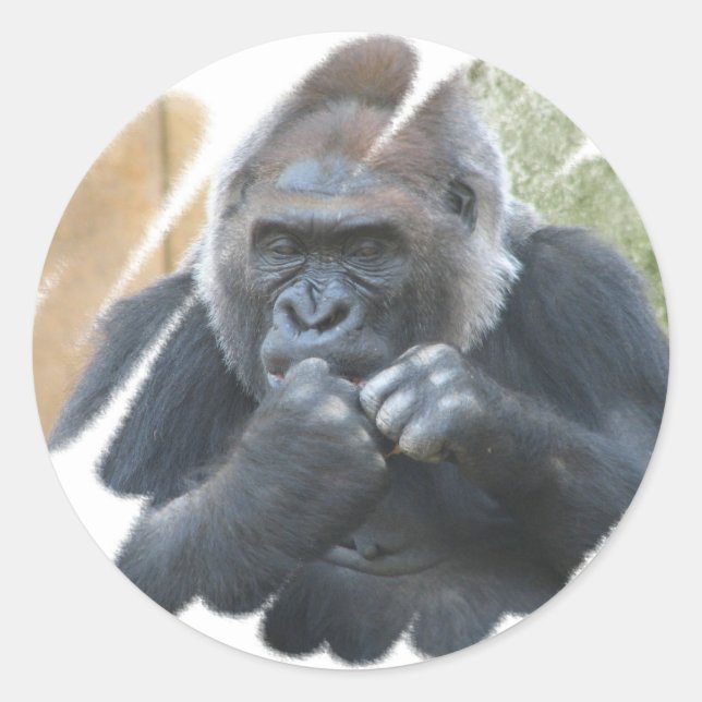 Gorilla Primat Stickers (Vorderseite)