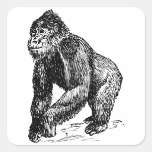 Gorilla Quadratischer Aufkleber