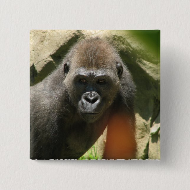 Gorilla-quadratischer Knopf Button (Vorderseite)