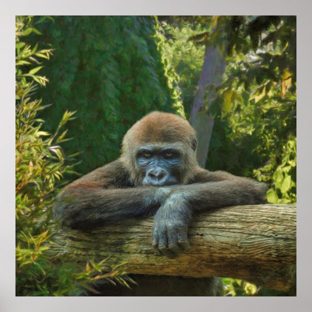 GORILLA "RETT UNSERE ARTEN" POSTER (Vorne)