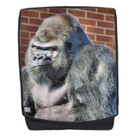 GORILLA