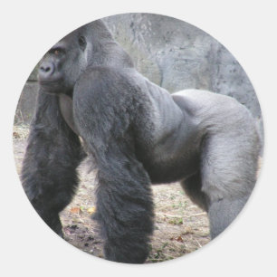 Gorilla Runder Aufkleber