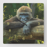 GORILLA “SAVE OUR SPECIES”