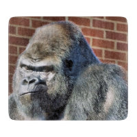 GORILLA