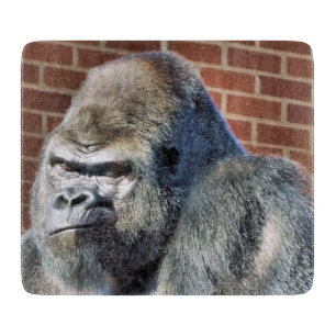 GORILLA SCHNEIDEBRETT