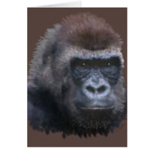 Gorilla Silverback