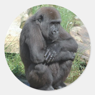 Gorilla Sitting Sticker