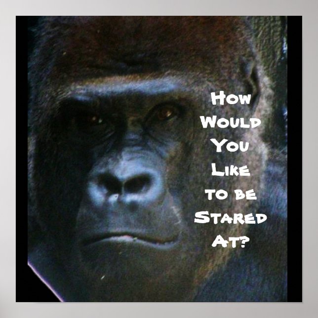 GORILLA STARTET MIR NICHT AUF DAS Poster (Vorne)