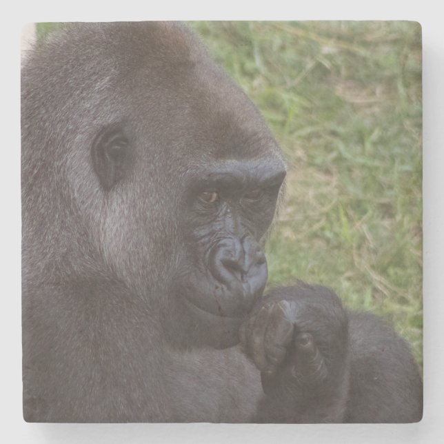 Gorilla Steinuntersetzer (Vorderseite)