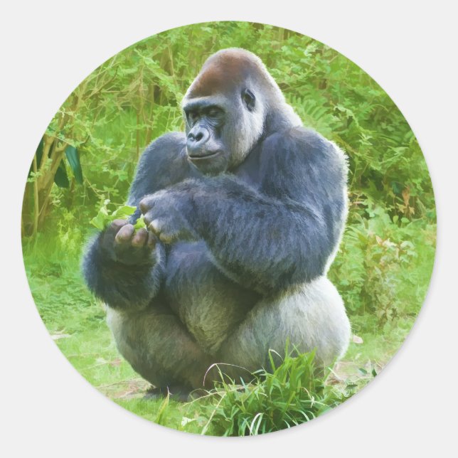 Gorilla Sticker (Vorderseite)