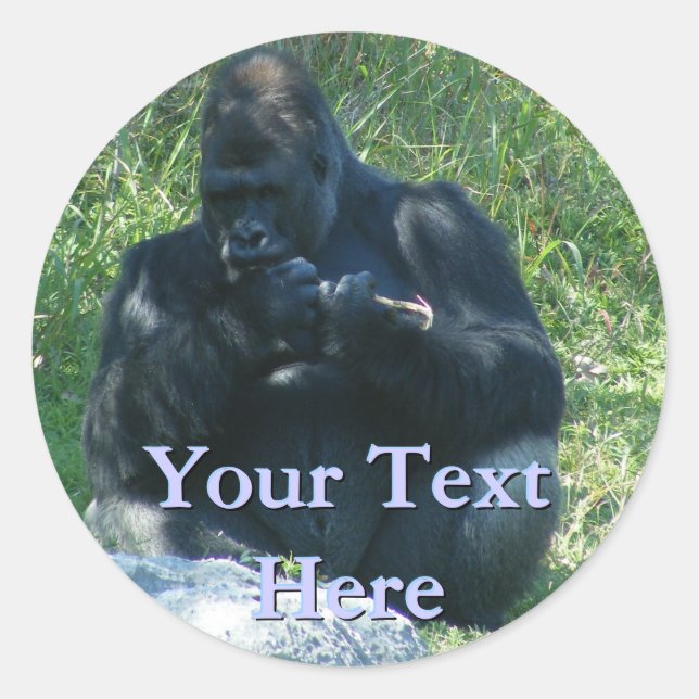 Gorilla Stickers (Vorderseite)