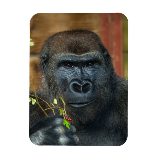 Gorilla und sein Berries-Foto Magnet (Vertikal)