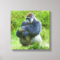 Gorilla Wrapped Canvas