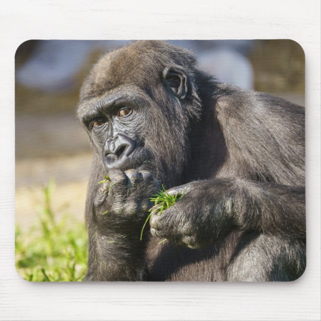 Gorilla Youngster Mousepad (Vorne)