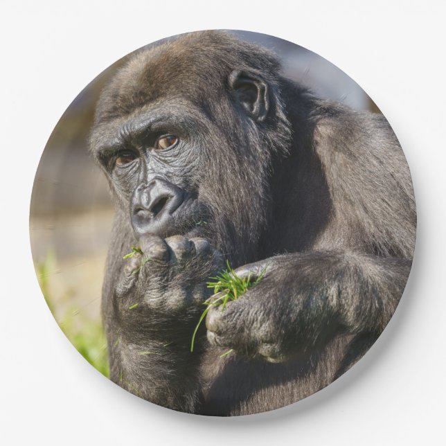 Gorilla Youngster Napkin Pappteller (Vorderseite)