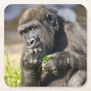 Gorilla Youngster Rechteckiger Pappuntersetzer