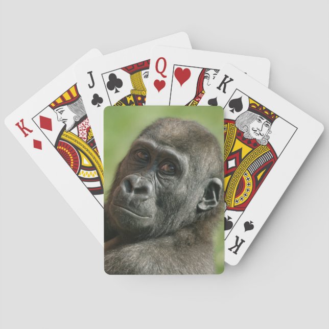 Gorilla Youngster Spielkarten (Rückseite)