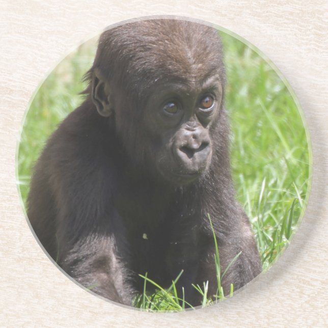 Gorillababy Untersetzer (Vorne)