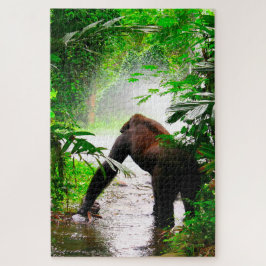 Gorillas.