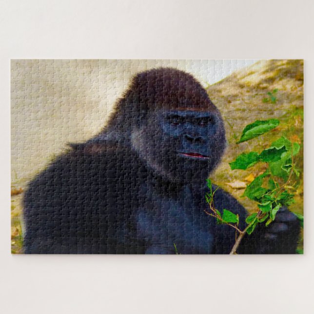 Gorillas. (Horizontal)