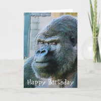 GORILLAS